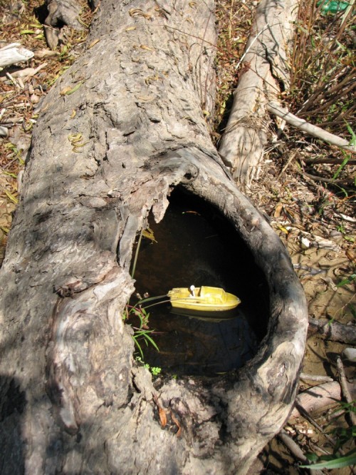 Yellow Boat in fallen tree, 10/09