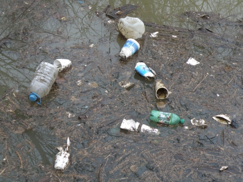 floating trash in the river, Feb. 2013