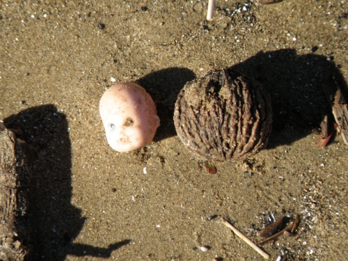 very small plastic doll head and walnut, Feb. 2013