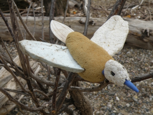 Swept-wing Dove, April 2013