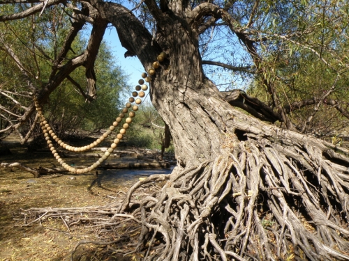 amazing willow tree wearing my river pearl necklace, October 2013