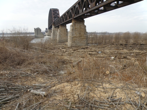 The Falls of the Ohio beneath the railroad bridge, March 5, 2014