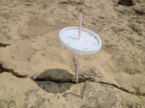 Plastic straw and cup lid wedged in rock crack, Falls of the Ohio, Aug. 2014