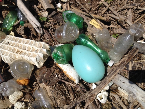Large blue plastic egg among other river debris, Falls of the Ohio, April 2015