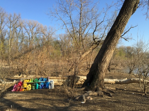 Plastic arrangement set up next to leaning tree, Falls of the Ohio, late March 2016